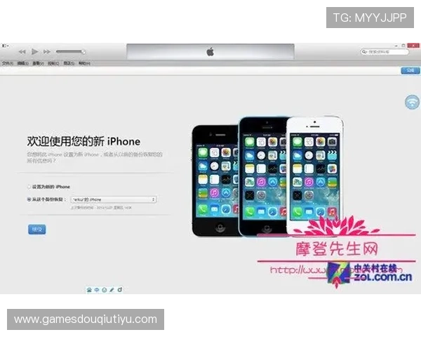 如何在手机或电脑上顺利安装斗球2026旧版，详细操作步骤指南